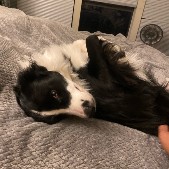 Meet your Posher, Mike - Picture 1 of 1